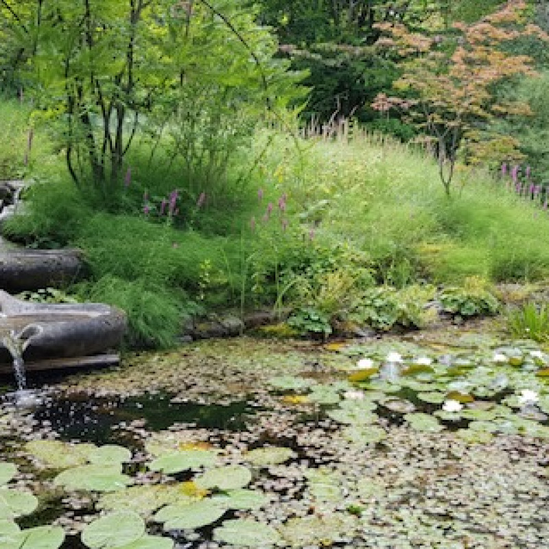 Der See im Rudolfs Steiner Haus