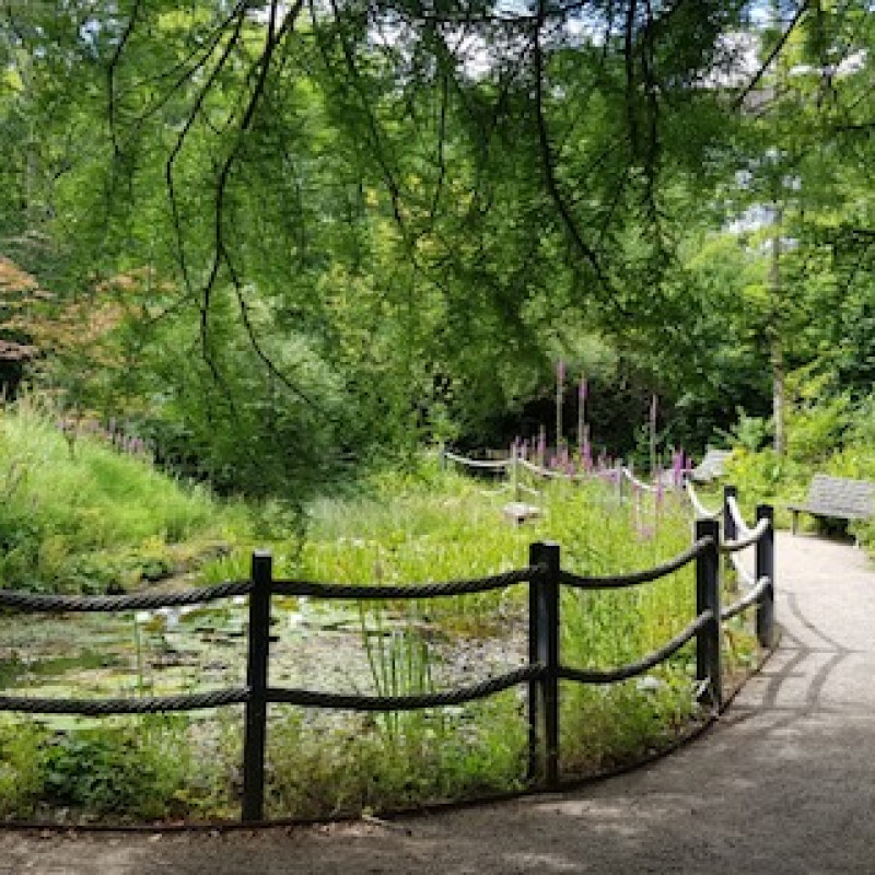 Der Weg um den See