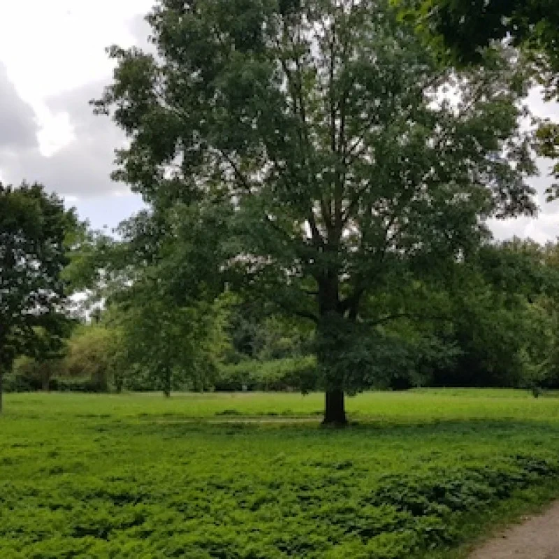 Der Sinai-Park am Rudolf Steiner Haus