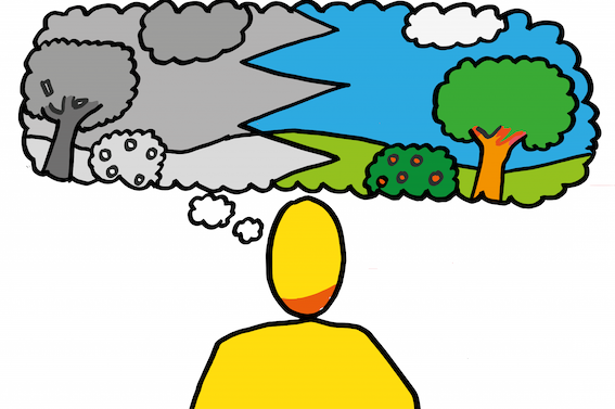Wahrnehmung beeinflussen im NLP Practitioner