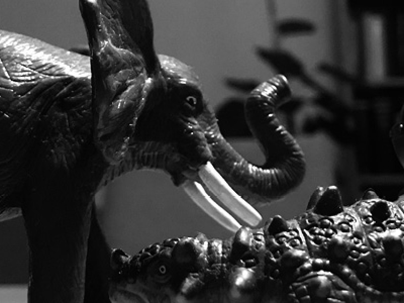 NLP-Weiterbildung für Führungskräfte