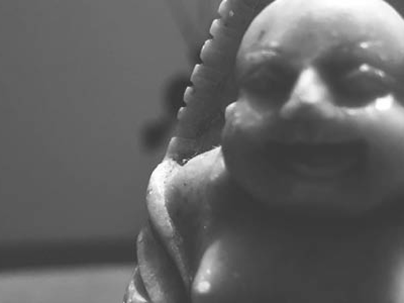 Resilienzstrategien aus der NLP-Sicht