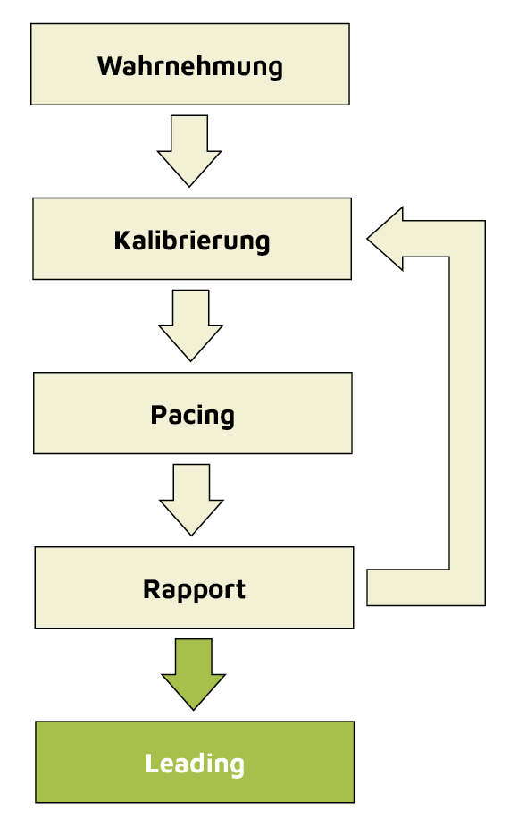 Schematische Darstellung des Leading im Kommunikationsprozess