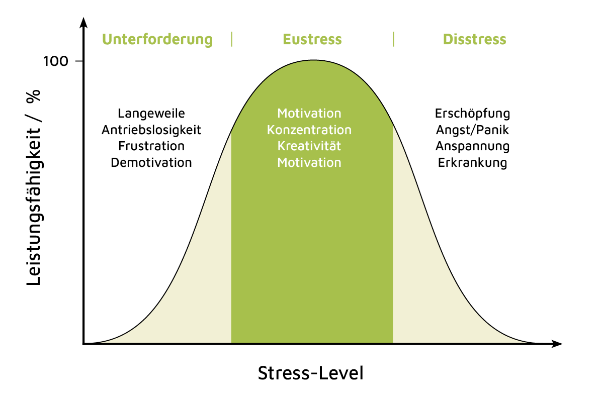 Stress (Eustress und Distress) in Relation zur Leistungsfähigkeit